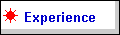 Experience